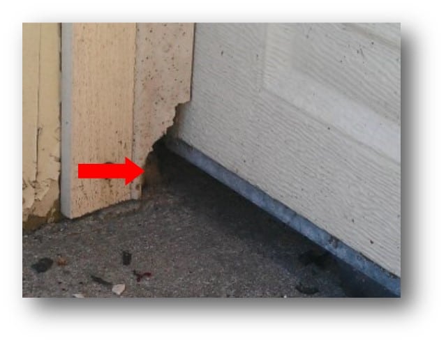 https://www.repairgaragedoors.com/wp-content/uploads/2019/12/Mice-in-your-garage.jpg